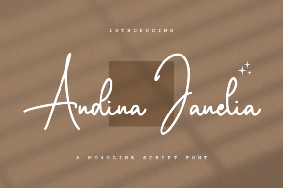 Andina Janelia Font: Elevating Brand Identity with Modern Script Elegance