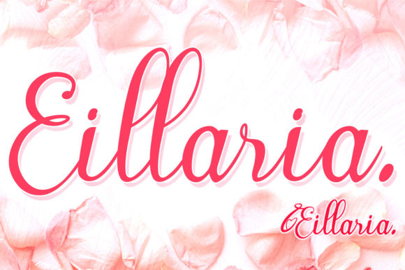 Eillaria Font Review: Adding Romantic Script to Your Brand