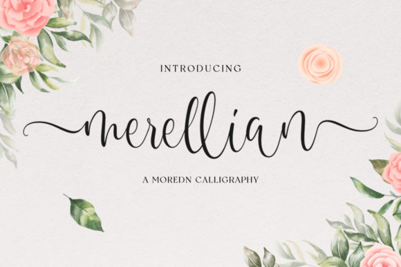 Merellian: A Designer’s Honest Review