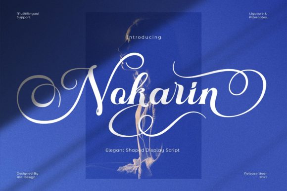 Nokarin Font: Elevating Campaign Design with Handwritten Elegance