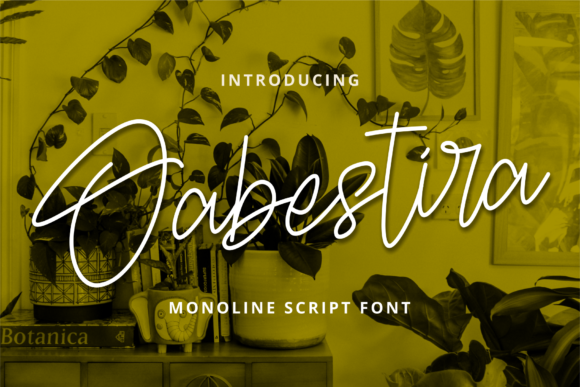 Oabestira: A Handwritten Typeface for Modern Web Design