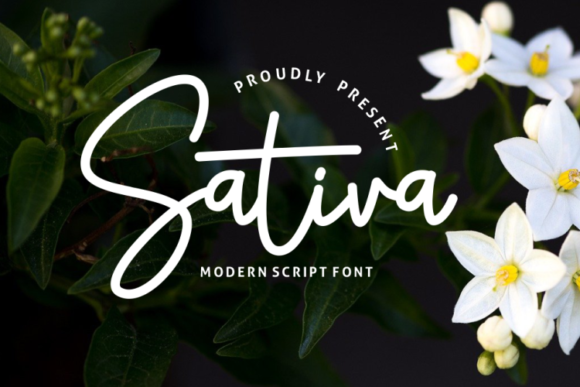 Sativa Typeface Review: Elevating Campaign Visuals with Elegant Script Typography